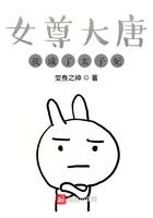 穿越成女尊国家的太子