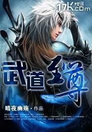 武道至尊顶点